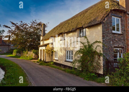 Casita con techo de paja en el Holnicote Estate en la aldea de Bossington, Somerset, Inglaterra, Reino Unido. Foto de stock