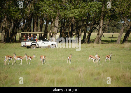 Juego de Mundo Animal Park, Esmeralda Resort & Casino, Municipio Emfuleni Vanderbijlpark, Gauteng, República de Sudáfrica.