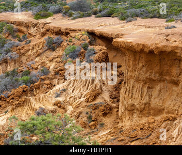 Resistente filo navaja erosión en la arenisca sobre la ladera de la montaña, con Torrey Pines colapsando la arena Foto de stock