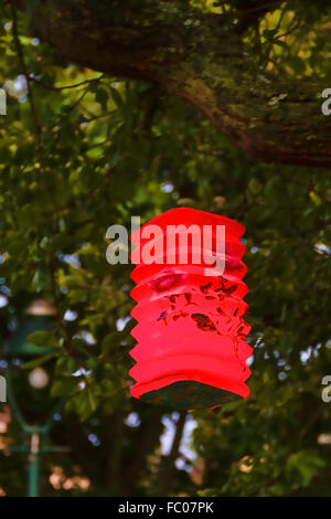 Lámpara de papel en un árbol