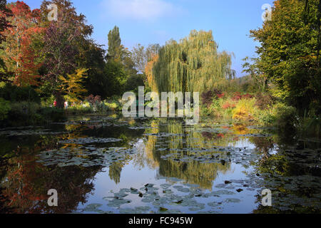 Claude Monet en el jardín de agua en octubre, Giverny, Normandía, Francia, Europa Foto de stock