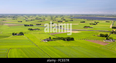 Países Bajos, IJsselmuiden, Montículo del río IJssel. Granjas y explotaciones agrícolas. Antena Foto de stock