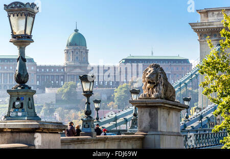 Un león en el puente de la cadena con el Palacio Real de fondo. Budapest, Hungría