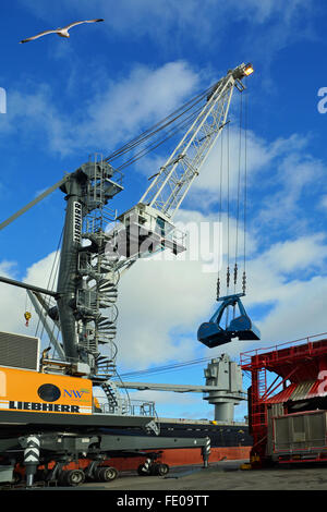 Cáscara de naranja grab agarrando la grúa de muelle de metal reciclado