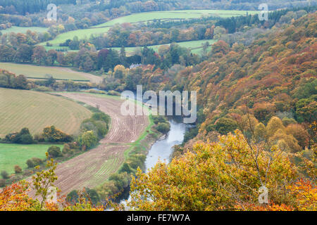 Vista elevada del valle inferior de Wye con el río Wye serpenteando a través de un paisaje otoñal dorado y tierras de cultivo cerca de Llandogo, Monmouthshire, Gales Foto de stock