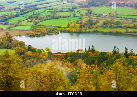 Vistas Loweswater y Holme Wood en el Lake District National Park, Cumbria, Inglaterra Foto de stock