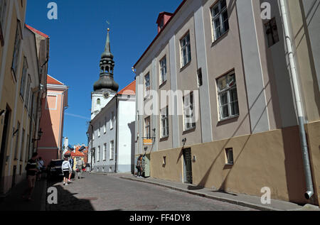 Vista hacia la catedral de St Mary's (La Catedral de Santa María a la Virgen), la colina de Toompea, Tallinn, Estonia. Foto de stock