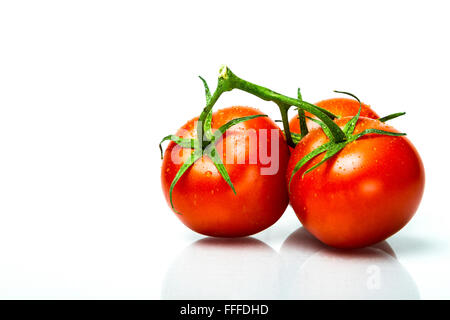 Tres tomates frescos maduros de la vid con el rocío sobre ellas