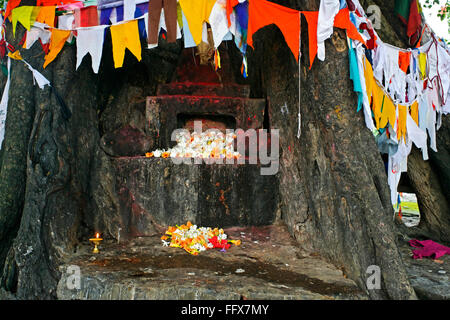 Lugar de nacimiento de Buda Gautama en Lumbini, Nepal, Patrimonio Mundial de la Unesco Foto de stock
