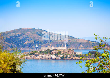 La isla de Alcatraz, aunque el follaje en San Francisco. Foto de stock