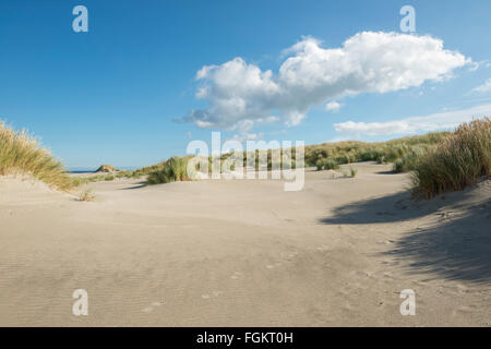 Huellas en las dunas cerca de la playa del Mar del Norte de la isla de Terschelling en los Países Bajos Foto de stock
