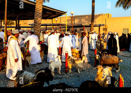 Amanecer en el viernes el mercado de ganado, Ad Dakhiliyah Nizwa, Región, Omán Foto de stock