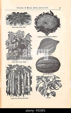 Catálogo descriptivo ilustrado, anual de semillas, plantas, vides, frutas pequeñas