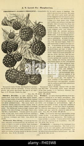 Lovett's catálogo ilustrado de frutales y ornamentales y plantas para el otoño de 1891