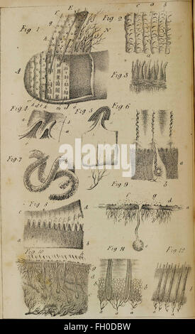 Un tratado práctico de las enfermedades de la piel (recurso electrónico)- organizado con miras a sus causas constitucionales y personajes locales (1838)