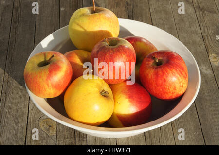 Malus domestica, manzanas Foto de stock