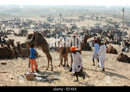 Los camellos y sus propietarios durante Pushkar mela feria de camellos en Rajasthan