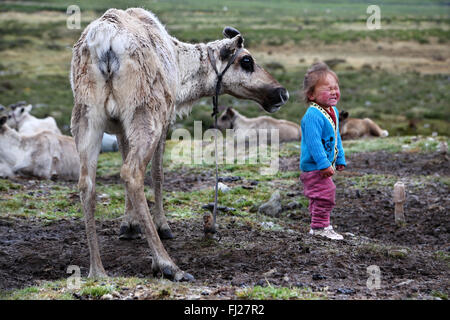 Niño jugando con renos,Tsaatan Dukha personas , pastores nómadas de renos , Mongolia Foto de stock