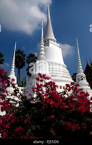 Ayutthaya, Tailandia: Morado Bouginvillea bush y pequeños Chedis blancos con chapiteles de anillado en Wat Suwan Dararam Foto de stock