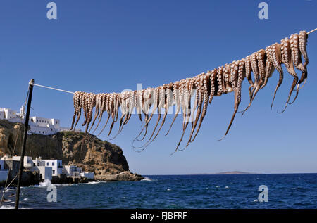 Una fila de pulpos secándose en Mandraki village, la isla de Nisyros, Dodecaneso, Grecia Foto de stock