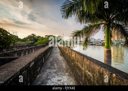 Palm Tree y paredes a lo largo del río Pasig, en Fuerte Santiago, Intramuros, Manila, Filipinas.