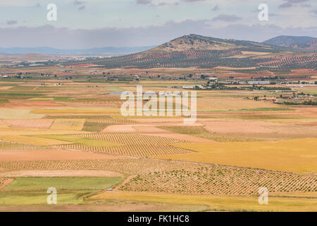Cerca de Consuegra, provincia de Toledo, Castilla-La Mancha, Spain. Tierras de cultivo. Foto de stock