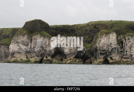 Acantilados de piedra caliza en la costa noroeste de Irlanda del Norte en las Rocas Blancas, Portrush, Condado de Antrim. Foto de stock