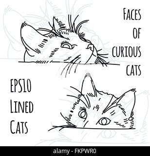 Ilustración vectorial de dos curiosos cat amordaza Ilustración del Vector