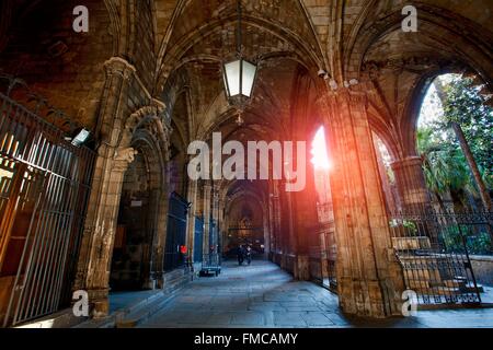 España, Cataluña, Barcelona, la Catedral de Barcelona Foto de stock