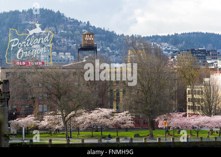 Portland, Oregón, Old Town Waterfront con cerezos florecen en primavera
