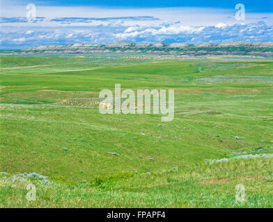 Vasta pradera y distante badland Hills, cerca de San Javier, Montana Foto de stock