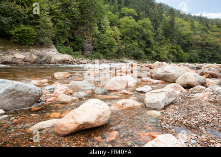 Gran río de salmones en el Fundy Trail Parkway de Nueva Brunswick