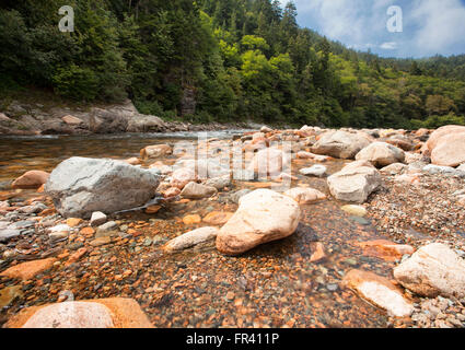 Gran río de salmones en el Fundy Trail Parkway de Nueva Brunswick