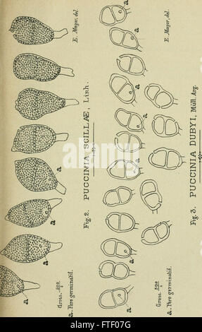 Boletín de la Soci neuchloise des Sciences Naturelles (1898-) Foto de stock
