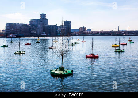 Acción de arte Dobberend Bos, de artistas de Rotterdam, un bosque de árboles de olmo flotantes, en desuso en las boyas del mar del Norte en un puerto, Foto de stock