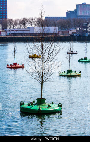 Acción de arte Dobberend Bos, de artistas de Rotterdam, un bosque de árboles de olmo flotantes, en desuso en las boyas del mar del Norte en un puerto, Foto de stock
