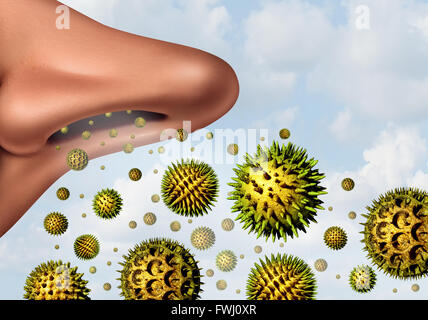 La alergia al polen concepto y fiebre del heno alergias como un símbolo de médicos como ilustración 3D partículas microscópicas de polinización orgánica Foto de stock