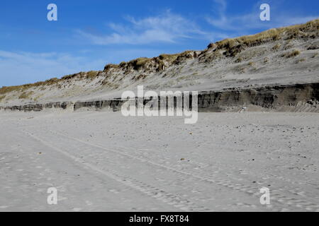 Dunas cerca Hvide Sande, Dinamarca, después de la tormenta y las olas han erosionado la duna. Restos de la antigua arena derivas pueden verse en t Foto de stock
