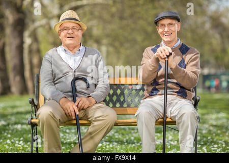 Dos alegres señores ancianos sentados en un banco de madera en un parque en un día soleado Foto de stock