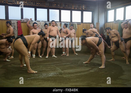 Tokio, Japón - Diciembre 21, 2014: luchador de sumo japonés formación en su puesto en distrito Ryogoku. Foto de stock
