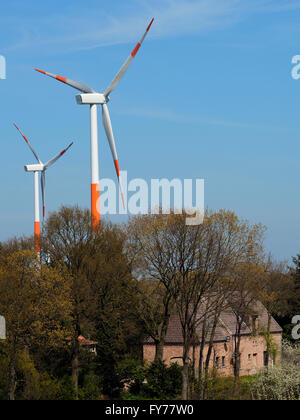 Los grandes molinos de viento con el cielo azul en la frontera Holandesa-Belga cerca Hazeldonk, con la vieja casa muy cerca