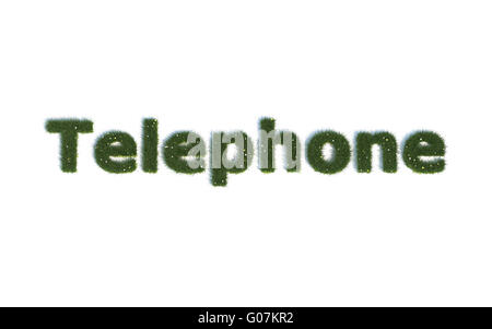 Teléfono: Serie fuentes de hierba realista e idioma Foto de stock