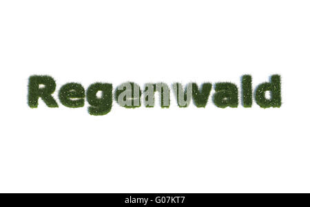Rainforest: Serie fuentes de hierba realista lenguaje Regenwald (G) Foto de stock
