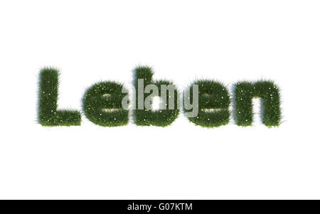La vida: Serie de fuentes fuera de hierba realista lenguaje G (Leben) Foto de stock