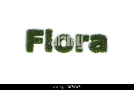 Flora: Serie fuentes de hierba realista lenguaje G (Flora) Foto de stock