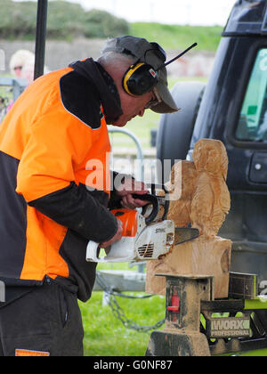 Hombre tallar madera con motosierra Fotografía de stock - Alamy