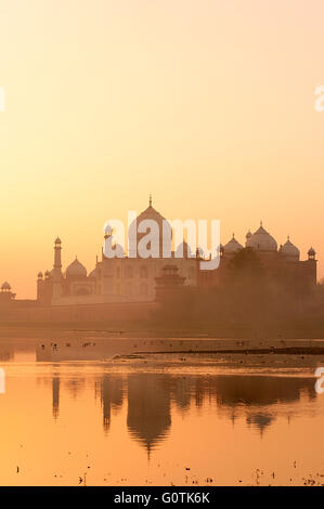 Taj Mahal ver con el reflejo de la ribera del río Yamuna. Picture shot durante el amanecer con niebla por la mañana. Foto de stock