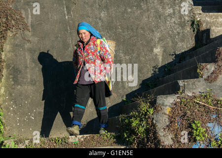 Bajando las escaleras, mujer, trabajador de la construcción, área Malizai Yuanyang, condado, provincia de Yunnan, China Foto de stock