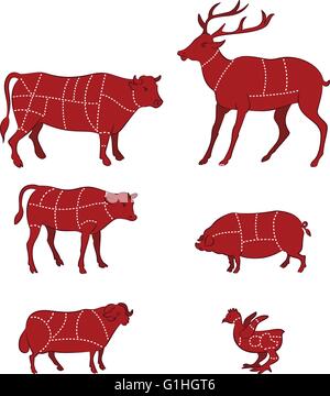 Ilustración vectorial de diagrama guía para cortar carne Ilustración del Vector