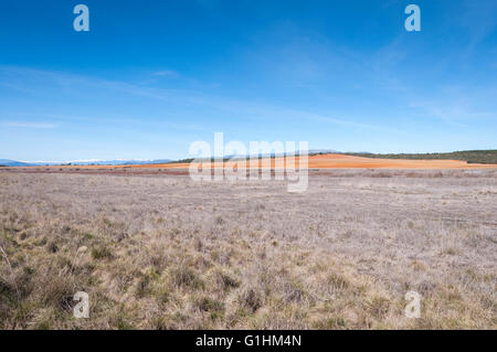 Lagunas secos en Puebla de Belena, Guadalajara, España. Estas zonas forman  parte de la red Natura 2000 Fotografía de stock - Alamy